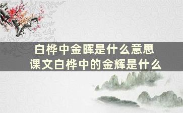 白桦中金晖是什么意思 课文白桦中的金辉是什么